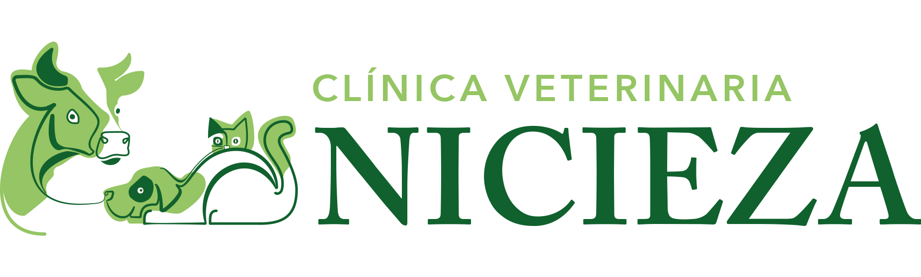 logo nicieza horizontal