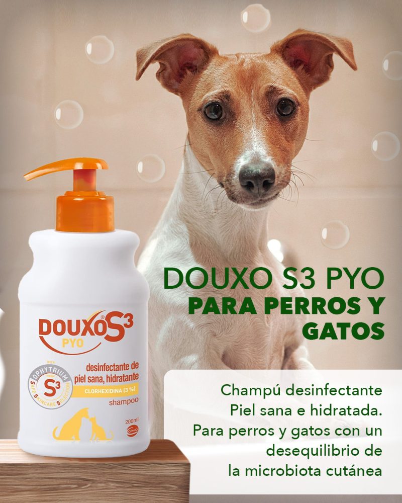 Douxo pyo champú