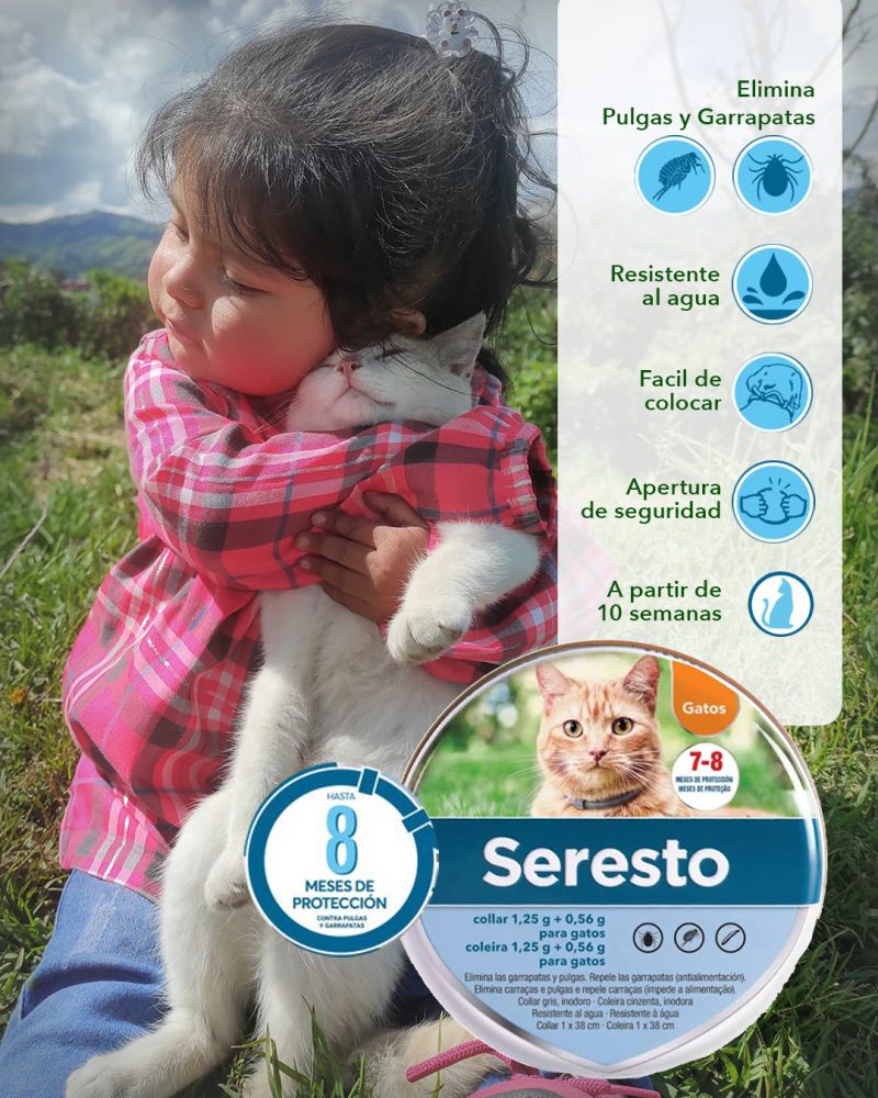 Seresto collar para gatos